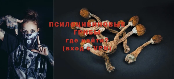 МДПВ Алексин