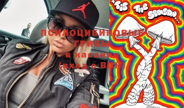 МДПВ Алексин