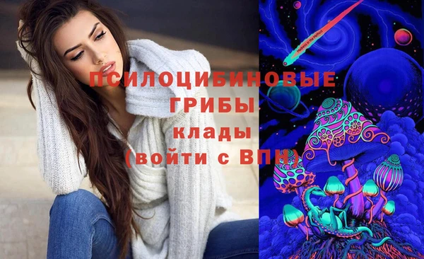 МДПВ Алексин